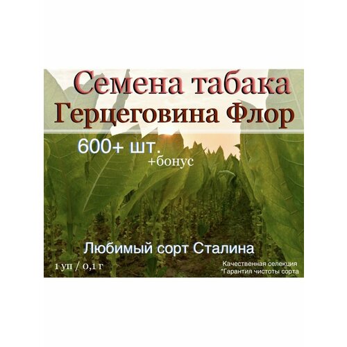 ������ ������ ������ ������ ����������� ���� ����