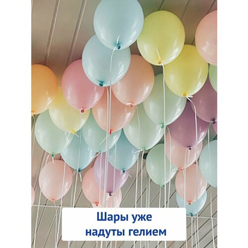 ������ ������ ��������� ���� � ������, ������ ��� �������, ���� �������� 15 �� ����