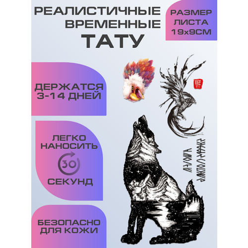 ������ ������ ���� ���������� �������������� ���� ����