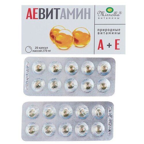 ������ ������ ��������� ����., 20 ��. ����