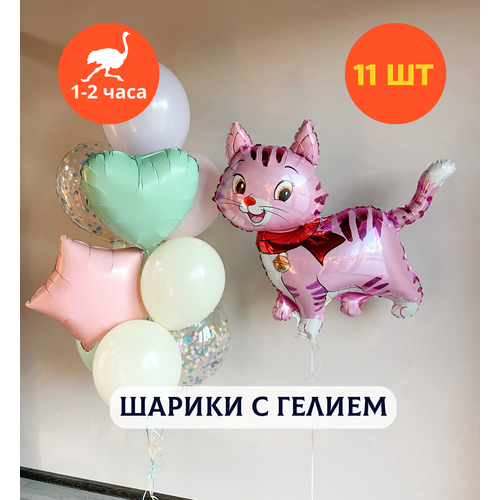 ������ ������ ������ ��������� �� ���� ��������, ��������� ���� � ������, ���� � ���� ��������, ����� ����� ��� ������� 