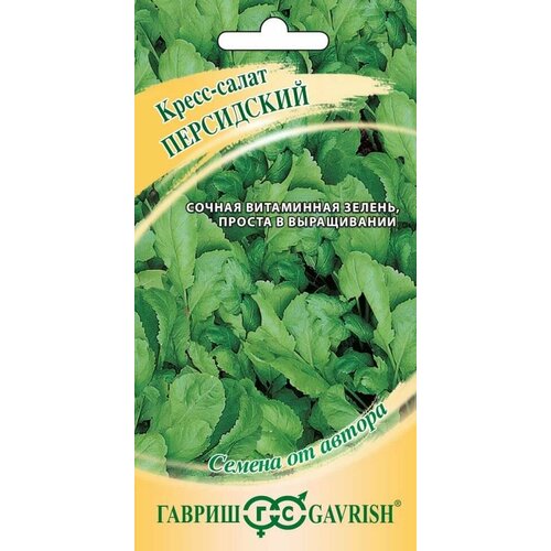 ������ ������ ������ �����-����� ���������� ������������� 1� (������) ����� �24 ����