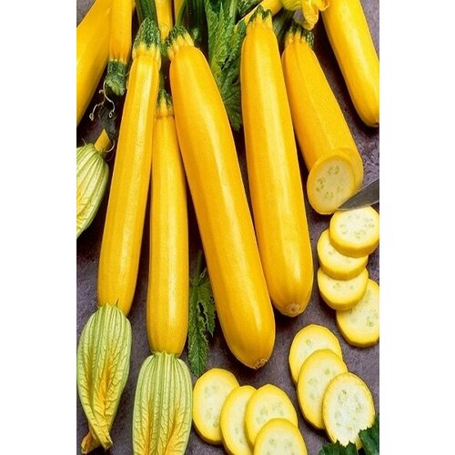 ������ ������ ������ ������� ��������� 10�� ������ ������ (����time) ����