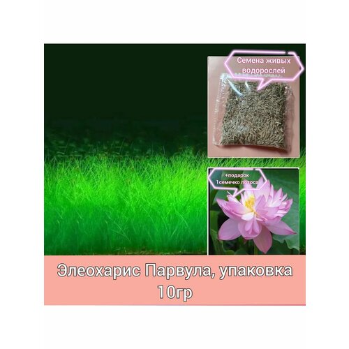 ������ ������ ������ ����� ���������� ��� ��������� ��������� 10�� ����