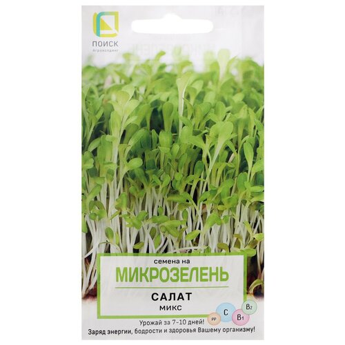 ������ ������ ������ ������ ����� ������ �� ����������� ���� 5 � ����