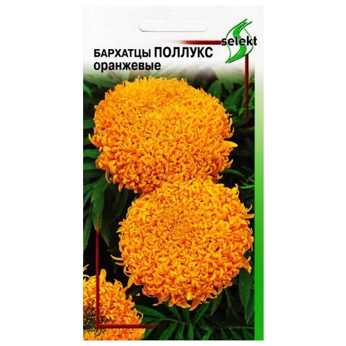 ������ ������ �������� (������� ������������) �������, ���������, 10 ����� ����