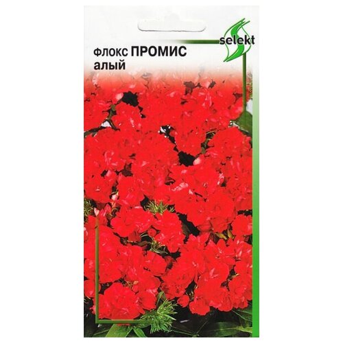 ������ ������ ����� ������, ����, 9 ����� ����