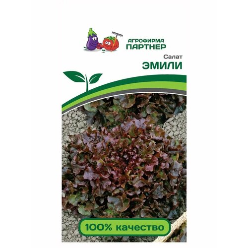 ������ ������ ������ ����� �������� ����� (1�) - ������� ����