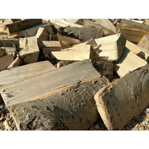 ������ ������ �������� ����� 20 �� ����� ��� ������ ����