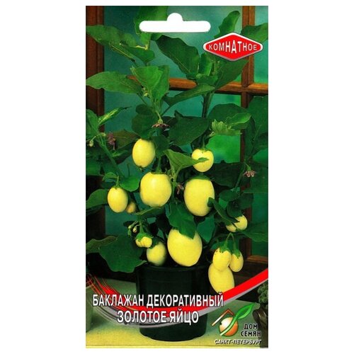 ������ ������ �������� ��������� ������� ����, 15 ����� ����