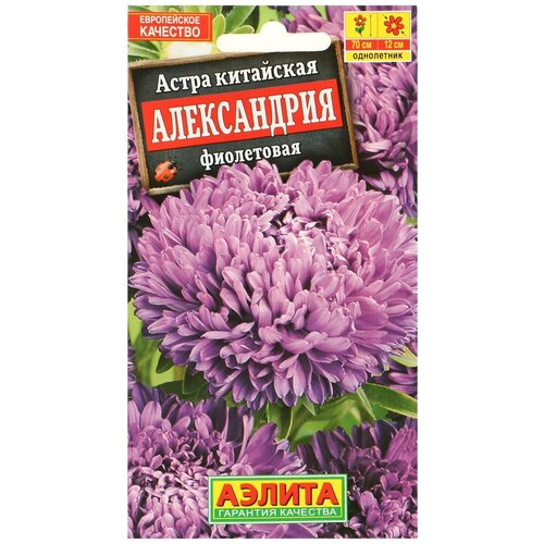 ������ ������ ������ ����� 