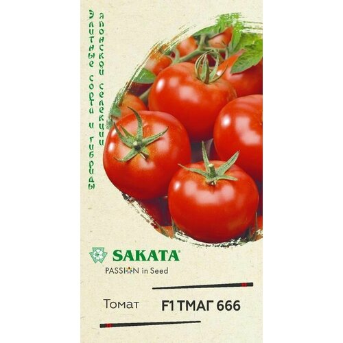 ������ ������ ������ �������� ����� ���� 666 f1 ����