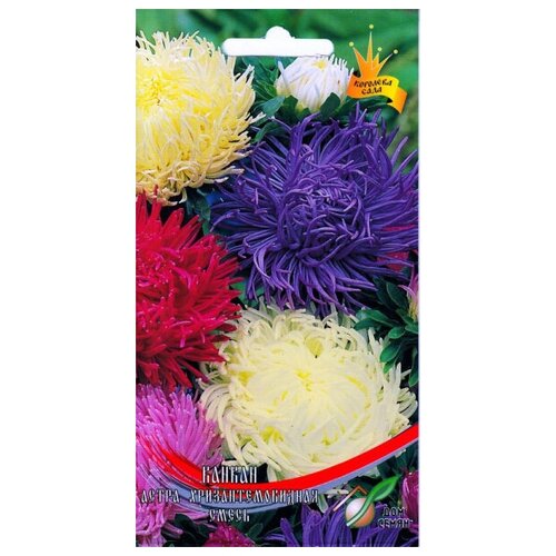 ������ ������ ����� ���������������� ������ �����, 100 ����� ����