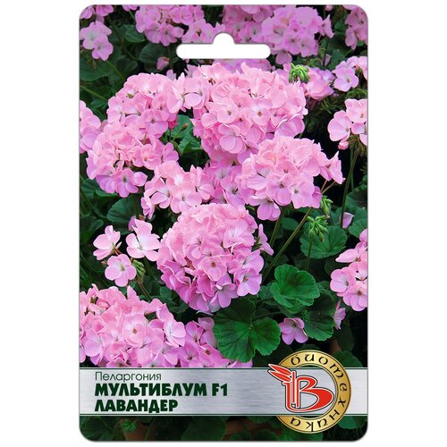 ������ ������ ����� ���������� (������) ���������� F1 �������� (������ ���������� 5��) ����