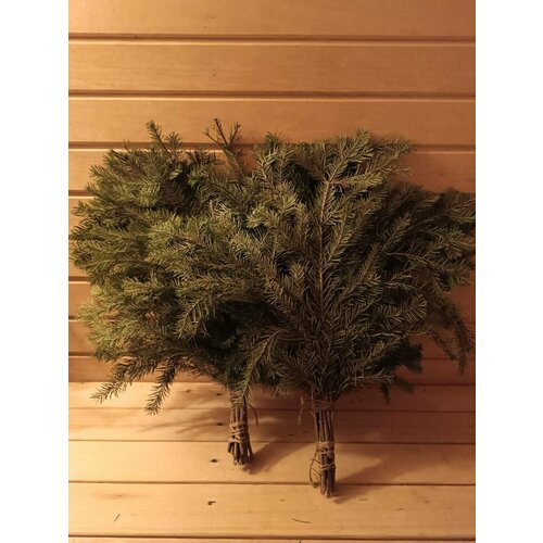 ������ ������ ������ ��� ���� ����� ����