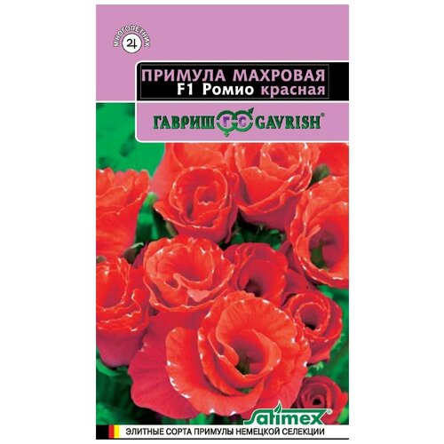 ������ ������ ������ ������� �������� ����� ������� F1, 3��, ������, Satimex, 10 �������� ����