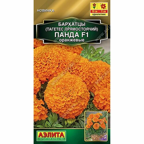 ������ ������ ������ �������� ����� F1 ��������� ����, ����������, (������) 7�� ������� ����� ����