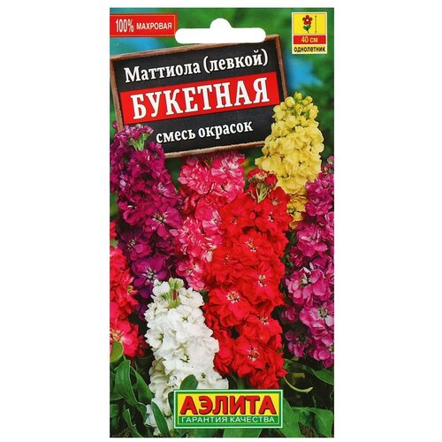 ������ ������ ������ ��������� ������ �������� (������) ��������, ����� ������� ����