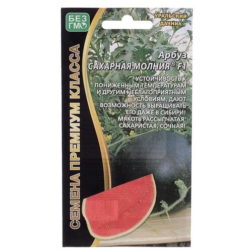 ������ ������ ����� �������� ������ F1 6�� ��������� ������ ����