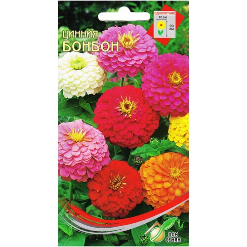 ������ ������ ������ ������, 25 ����� ����