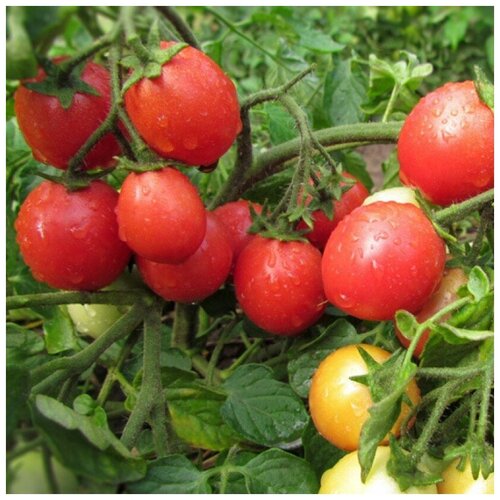 ������ ������ ������ ������ ����� �������� ������ 10 ��. ����