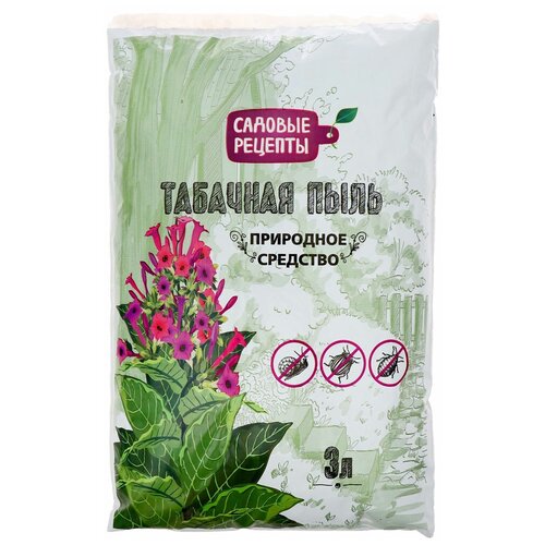 ������ ������ �������� �� ��������� �������� ����, ������� �������, 3 � ����