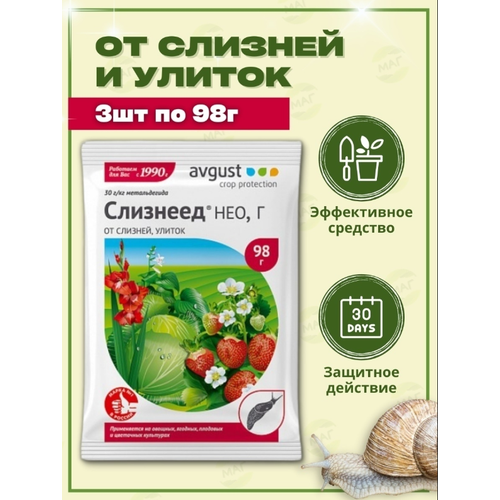 ������ ������ �������� �� ��������� � ������ 