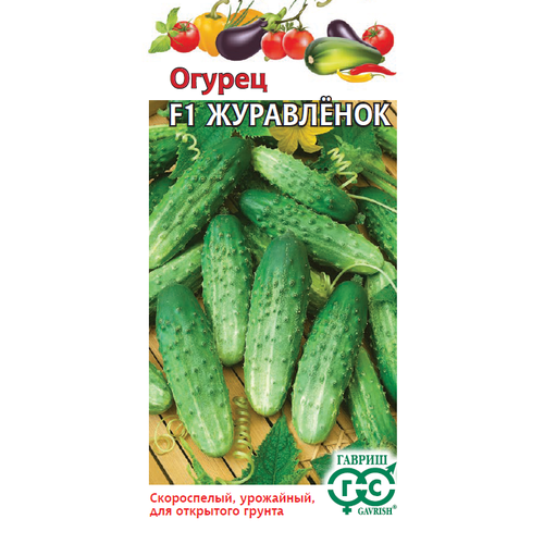 ������ ������ ������ ������ ���������� F1 10�� �� ������ (������) ����