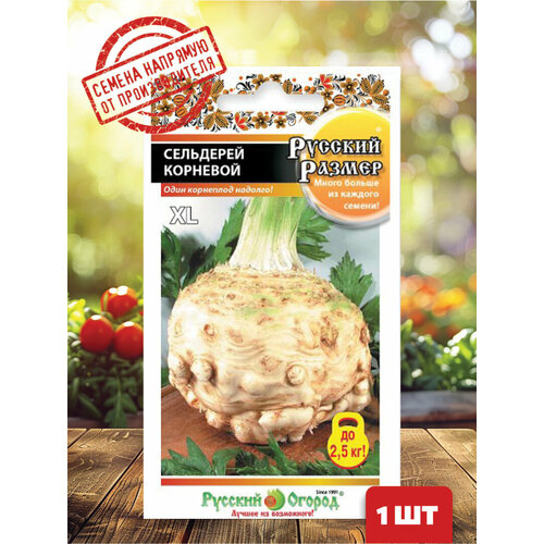 ������ ������ ��������� �������� ������� ������ ����