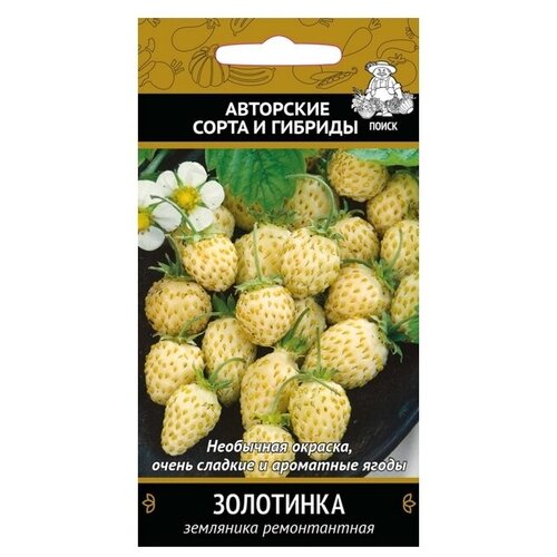 ������ ������ ������ ��������� ������������ ��������� 100�� (� �����) ����