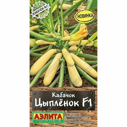 ������ ������ ������ ������� ������� �������� F1 (������) 5�� �����-������ ����