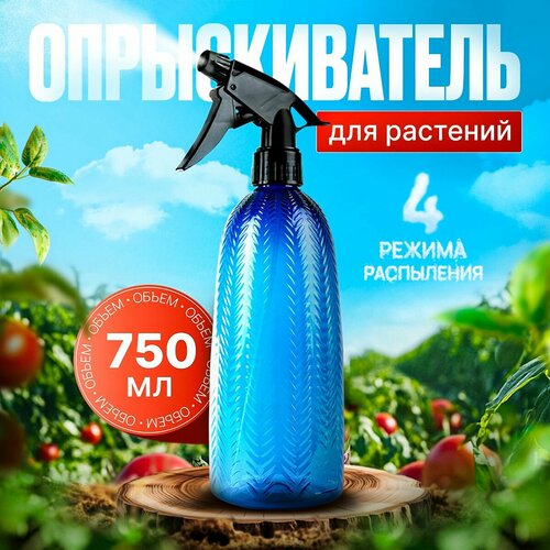 ������ ������ ������������� ��� ��������� �������� � ������ ����� 750�� ����