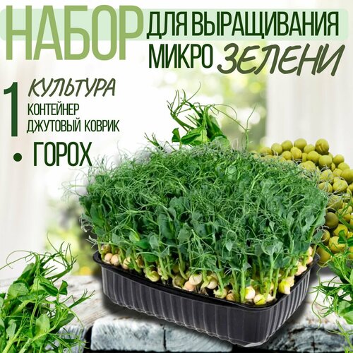 ������ ������ ����� ��� ����������� ����������� ������, ��������/������, ����������, 45� ����