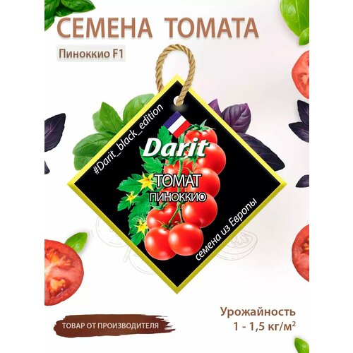 ������ ������ ������ ������� �������� Black Edition ����