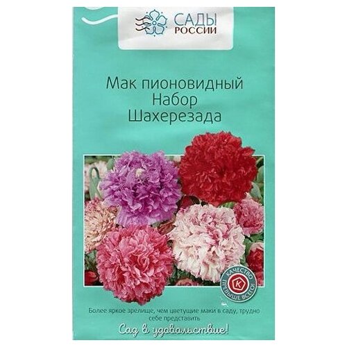 ������ ������ ������ ���� ������������ 