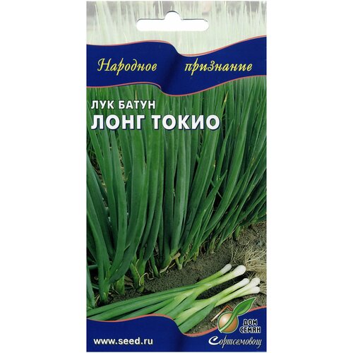 ������ ������ ��� ����� ���� �����, 80 ����� ����