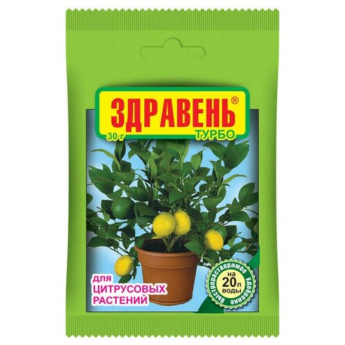 ������ ������ ���� �������� �� ������� ����� 30�� ����