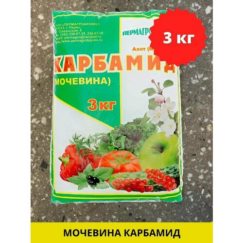 ������ ������ �������� (��������) 3 �� ����