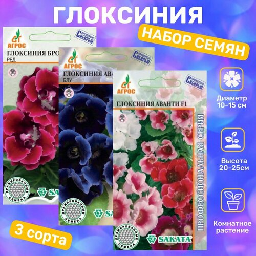 ������ ������ ������ ��������� ������� F1, ������ F1 ����