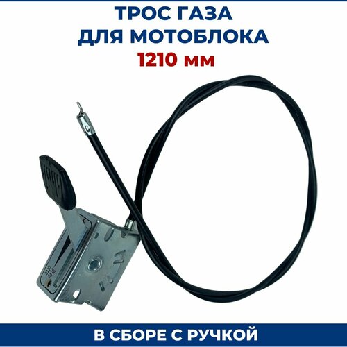 ������ ������ ���� ���� ��� ��������� 1210 ��, � ����� � ������ ����