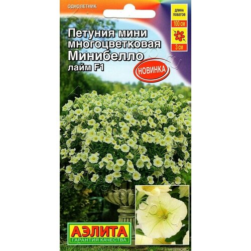 ������ ������ ������� �������������� ���� ��������� ���� F1 ( 1 �������� ) , ������ ����