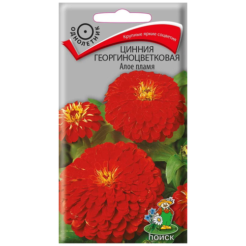 ������ ������ ������ ����� ������ ����������������� ���� ����� ���������� 0.4 � ����