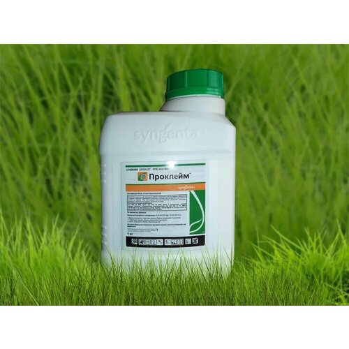 ������ ������ ���������� �������� 1�� ����