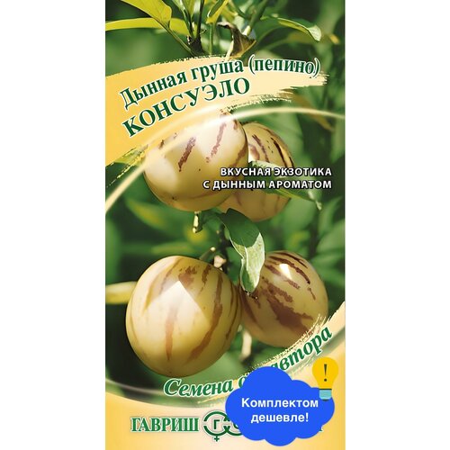 ������ ������ ������ ������ ������ 