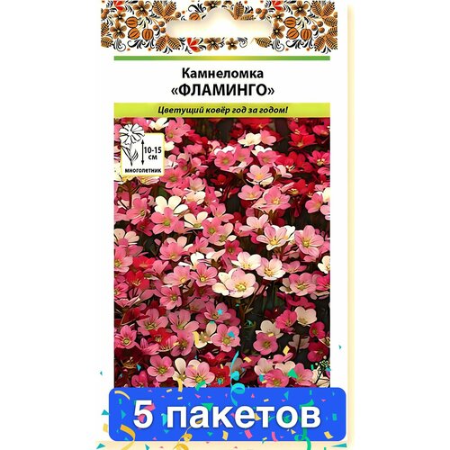 ������ ������ ����� ���������� ��������, ����� 5 ������� ����