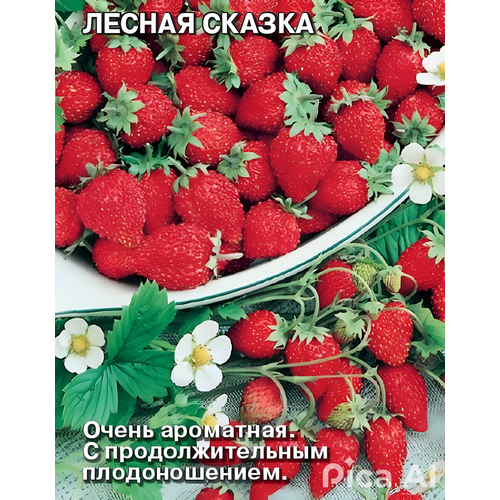 ������ ������ ������ ������ 30 �� ����