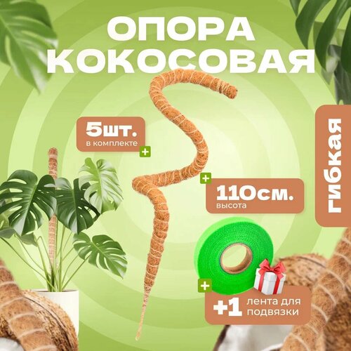 ������ ������ ��������� ����� ��� �������� ������, 110��, 5�� ����