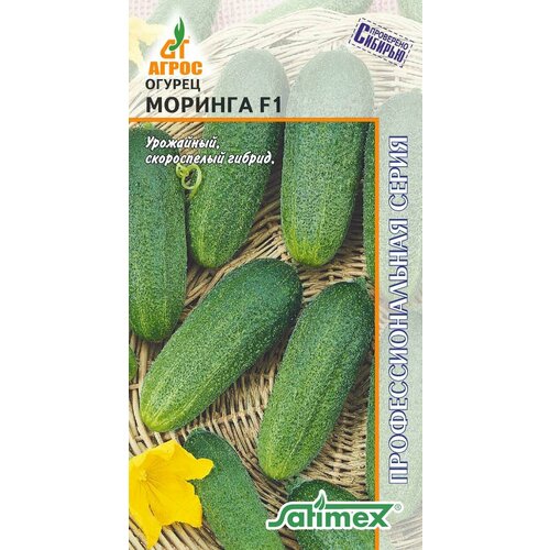 ������ ������ ������ ������ ������� F1 10�� �� ������ (�����) ����