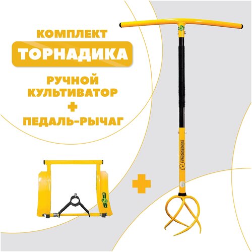 ������ ������ ����������� ��������� (�������) � ������� ����