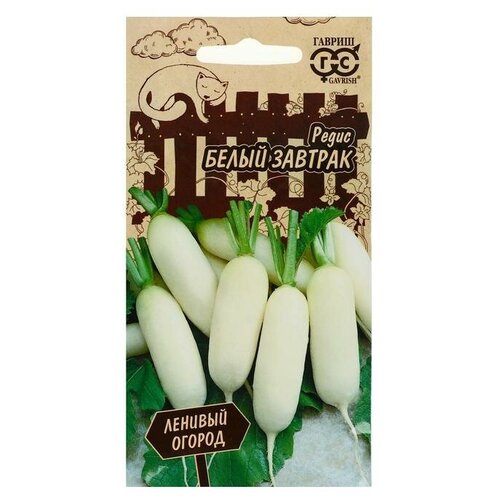 ������ ������ ������ ����� 